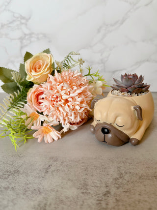 Pug Pot