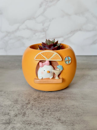 Orange Ducky