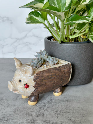 Piggy Log
