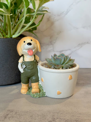 Golden Retriever Farmer