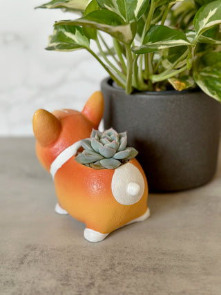 Corgi Pot