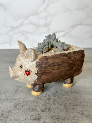 Piggy Log