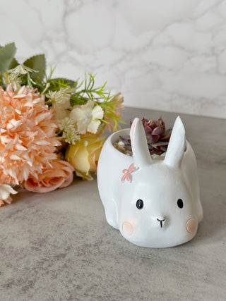 Bunny Pot