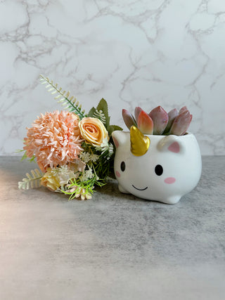 Unicorn Succulent Arrangement