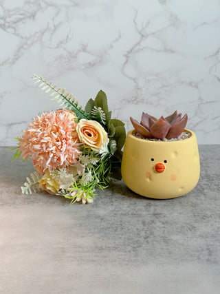 Cheesy Chick Pot Arrangement