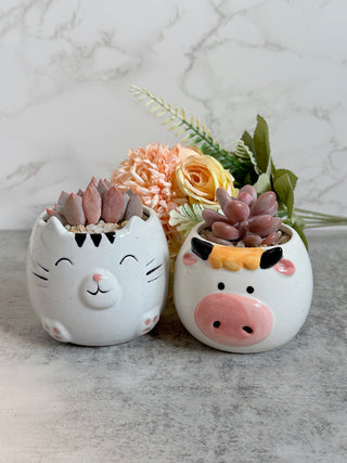 Cute Animal Pot Succulent Arrangement