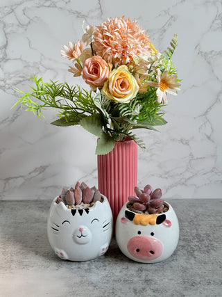 Cute Animal Pot Succulent Arrangement