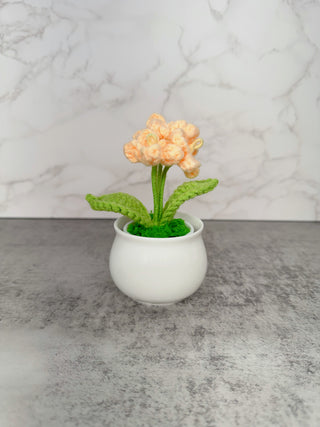 White Glazed Ceramic Pot